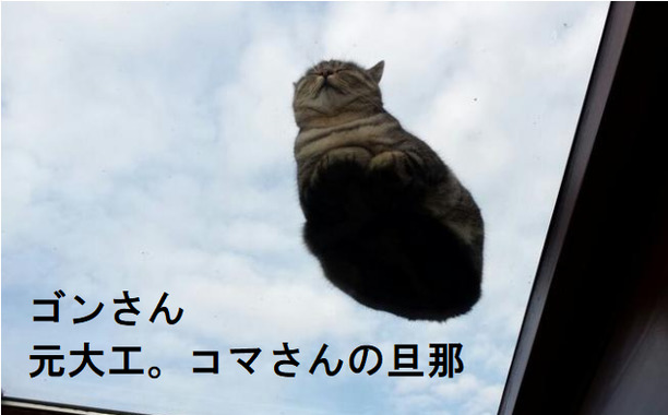 マイネ王497.png