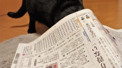 マイネ王698.png