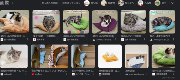 Screenshot_2024-02-02_at_21-23-56_猫座布団_-_Google_検索.png