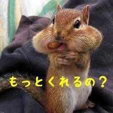 IMG_1194.jpeg