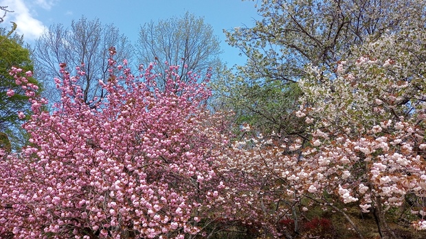 IMG_20250417_150837_200.jpg