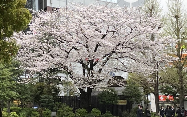 IMG_1391.jpeg