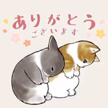 images_(3)_(1).jpeg
