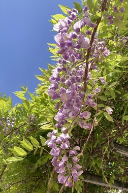 IMG_1571.jpeg