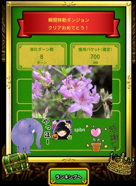 IMG_2895.jpeg