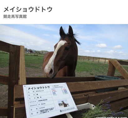IMG_5358.jpeg