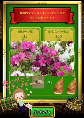 IMG_2992.jpeg