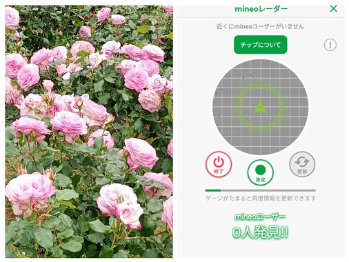 20260506_105030-COLLAGE.jpg