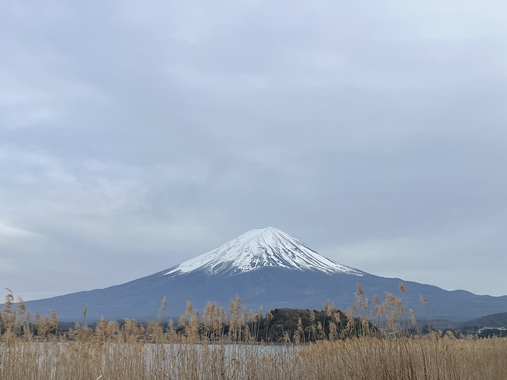 IMG_4651.jpeg