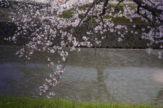 DSC04917.jpeg