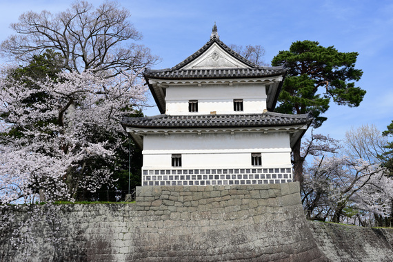 Z63_0453.JPG