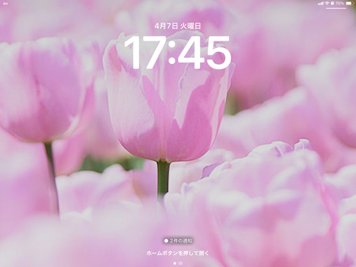 IMG_7082.png