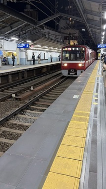 IMG_8336.jpeg
