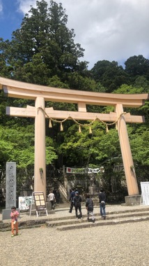 IMG_6225.jpeg