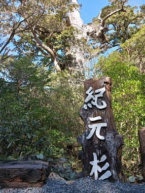 IMG20260223114103.jpg