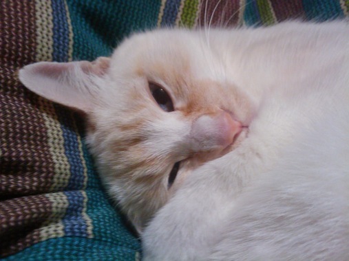 20090207A.jpg