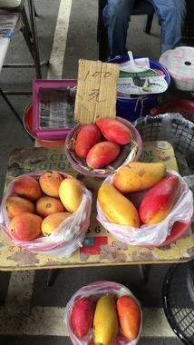 IMG_5752.jpeg