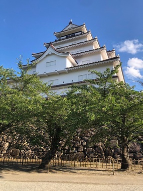 IMG_0071.jpeg