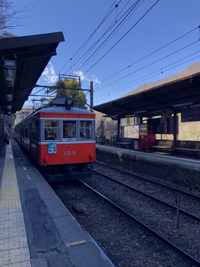 IMG_8923.jpeg