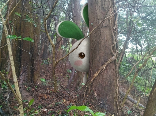 このキャラクターが、写真の林の大木に隠れるようにしてて、こちらをじっと見ている_202604151325.jpeg