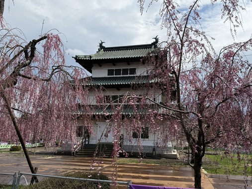 IMG_5650.jpeg