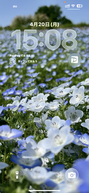 IMG_8526.png