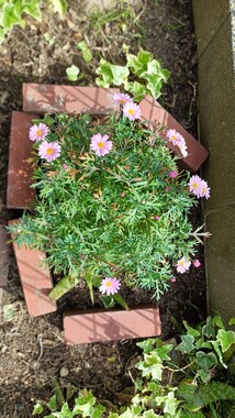 IMG20260421084702_2.jpg