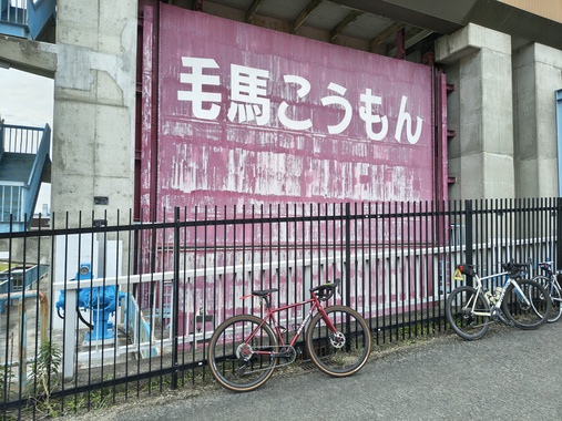 IMG_20260429_093557742_HDR.jpg