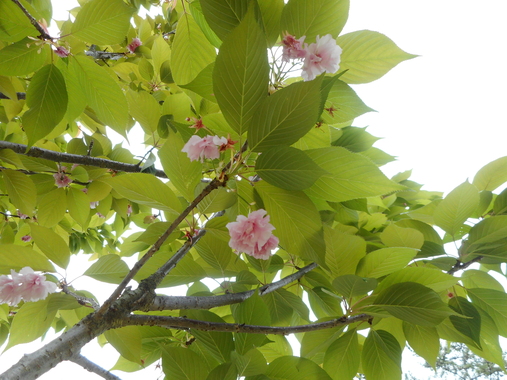 DSCN0122.JPG