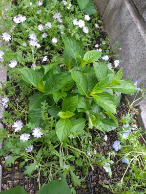 20260503_141420.JPG