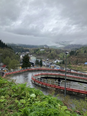 IMG_4201.jpeg