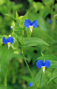 image318.jpg