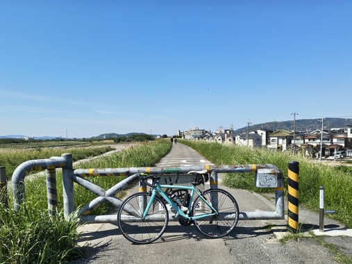 IMG_20260510_091700555_HDR.jpg