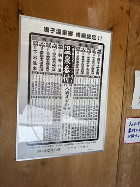 IMG_6130.jpeg