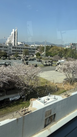 IMG_7928.jpeg