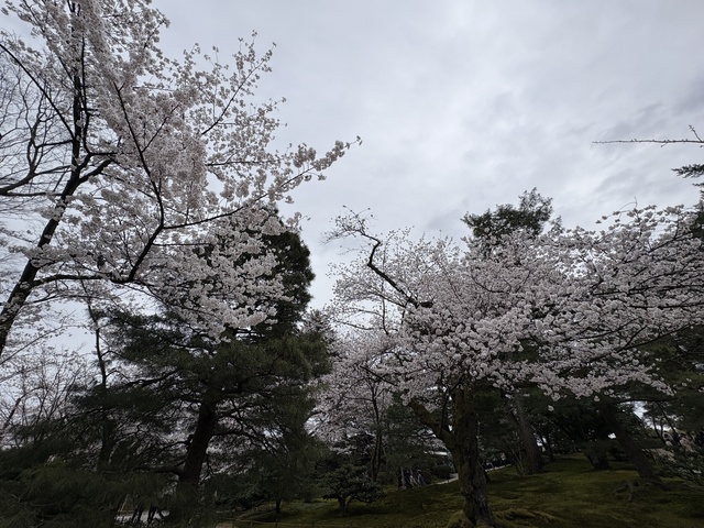 20260404_034309786_iOS.jpg