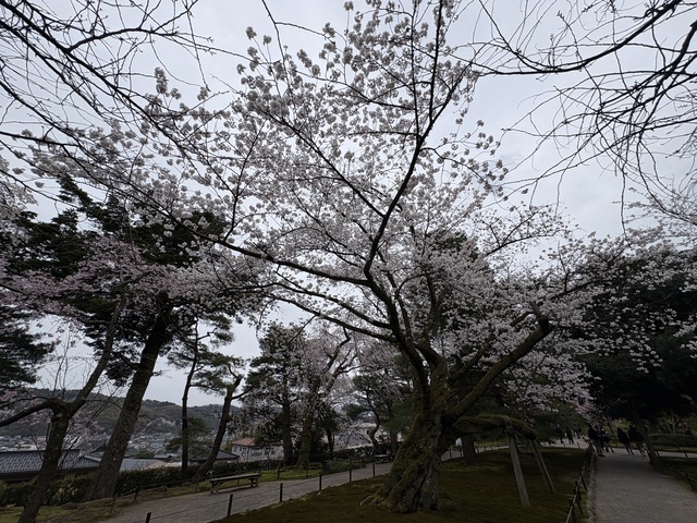 20260404_032008513_iOS.jpg