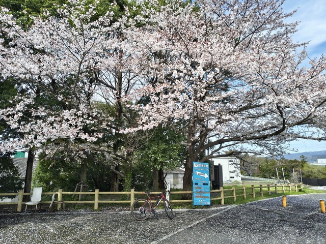 IMG_20260405_093351976_HDR.jpg