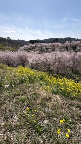 IMG_8030.jpeg