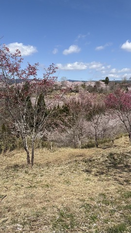 IMG_8048.jpeg