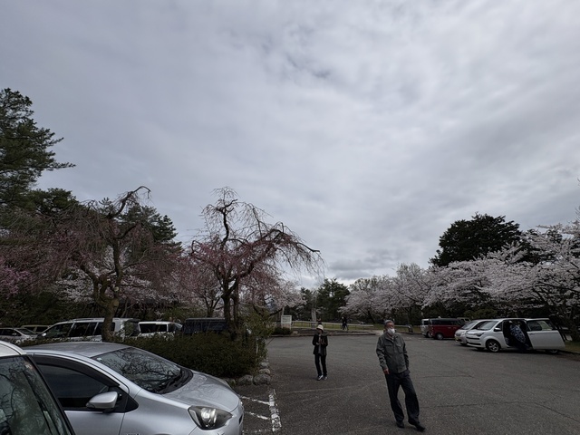 20260405_045025850_iOS.jpg
