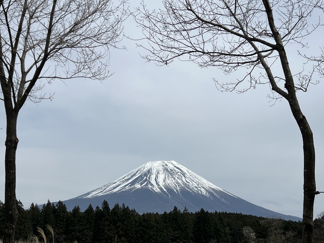 IMG_4619.jpeg