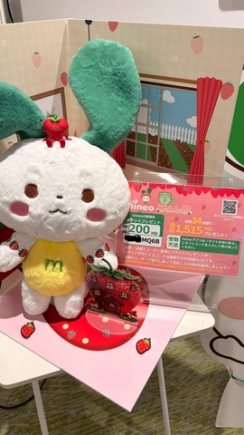 IMG_4790.jpeg