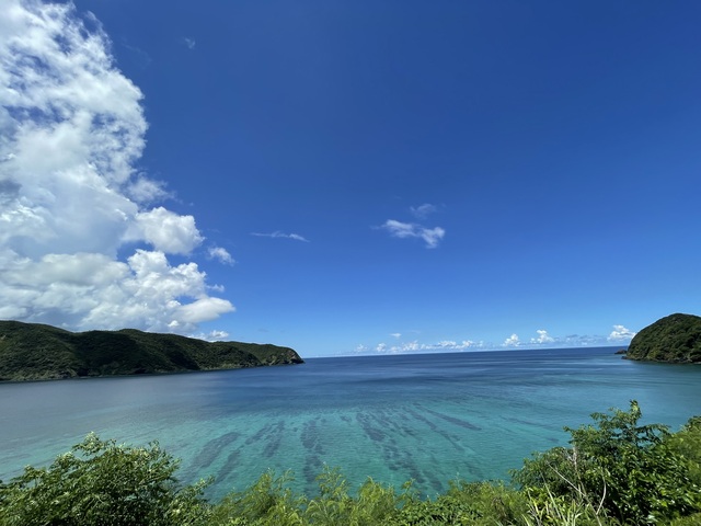 IMG_2711.jpeg