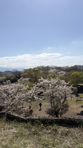 IMG_8105.jpeg