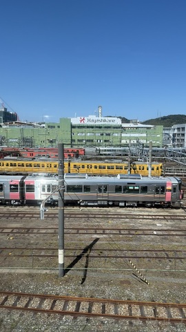 IMG_8234.jpeg
