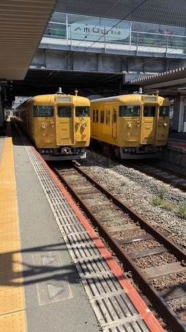 IMG_8237.jpeg