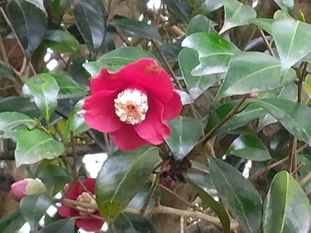 IMG_20260409_144109.jpg