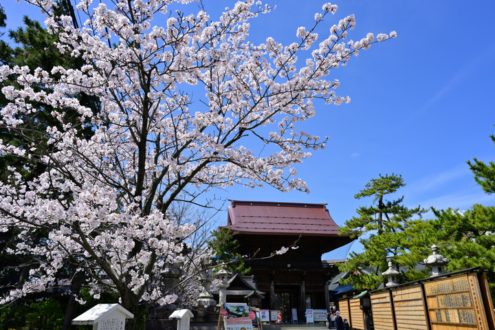 Z63_0405.JPG