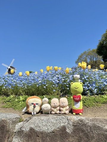 IMG_2342.jpeg